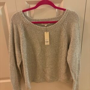 Francesca's Collections Shimmering Silver Sweater